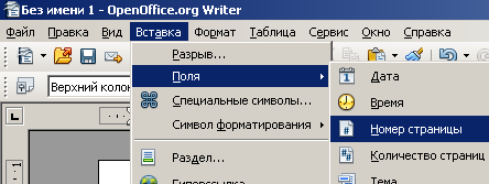 http://matrunich.com/wp-content/uploads/2013/01/openoffice_writer_menu_insert_fields_page_numbering.png